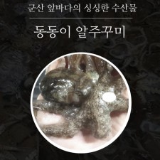 동동이 알주꾸미 1kg(9미내외)