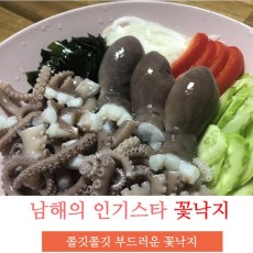 꽃낙지 1kg (8미내외)