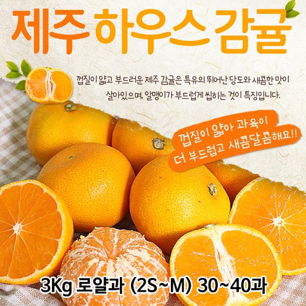 제주도 하우스감귤 3Kg 로얄과 (2S~M) 30~40과