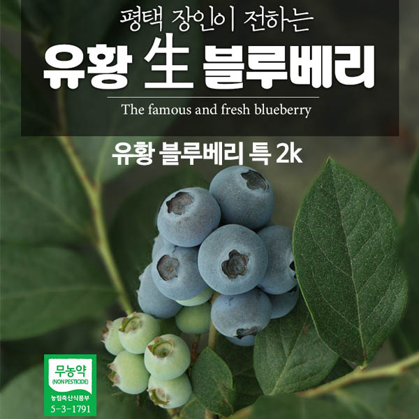 유황 블루베리 특 2k /6월25일부터 순차발송