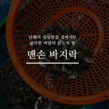 맨손바지락 2kg(100미내외)
