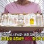 미후 빛담 8종세트