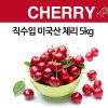직수입 미국산 체리 5kg