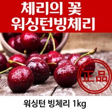 워싱턴 빙체리 1k(9.5~10)