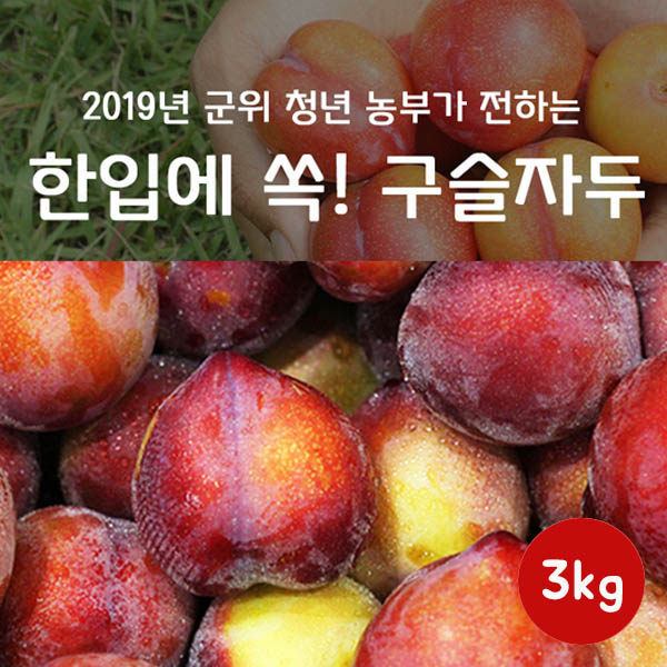 구슬자두 3k