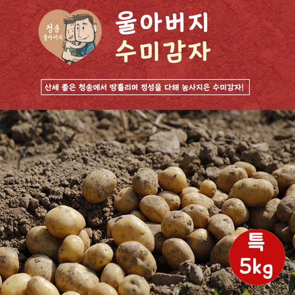 울아버지 수미 감자 수미 특5k