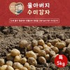 울아버지 수미 감자 수미 특5k