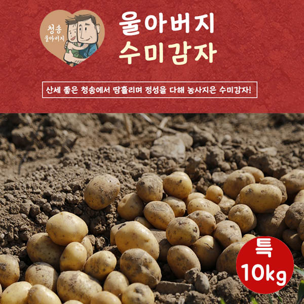 울아버지 수미 감자 수미 특10k