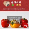 울아버지 이색 파프리카 2k (9과내외)