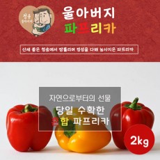 울아버지 이색 파프리카 2k (9과내외)