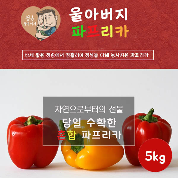 울아버지 이색 파프리카 5k(25과내외)