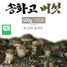 버섯돌이 송화 버섯 실속형가정용500g