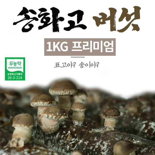 버섯돌이 송화 버섯 고급선물용 1kg