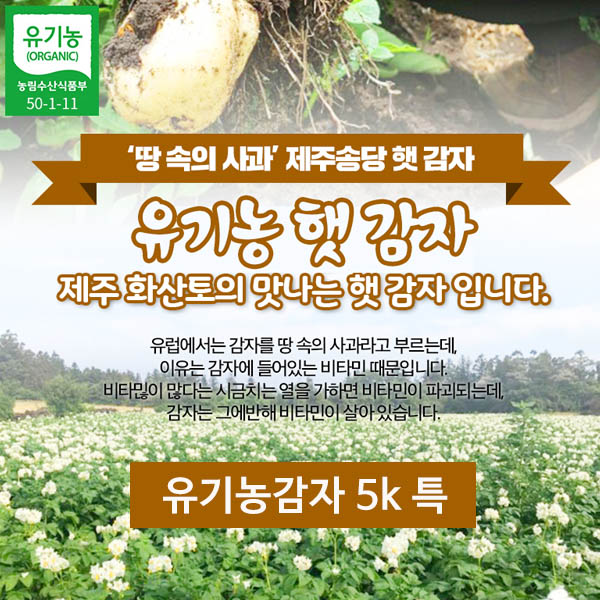 제주 유기농감자 5k 특