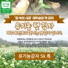 제주 유기농감자 5k 특