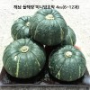 해남 늘해랑 미니밤호박 4kg(6~12과)