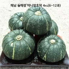 해남 늘해랑 미니밤호박 4kg(6~12과)