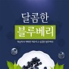 해남 늘해랑 블루베리 생과  2kg