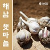해남 늘해랑 해남마늘 중 반접