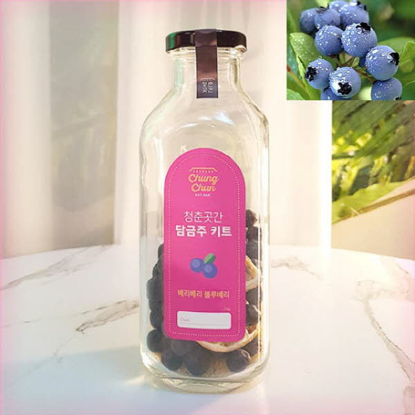 청춘곳간 블루베리 담금주키트 500ml 1병