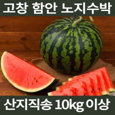 [면세]고창 함안 노지수박 10kg이상