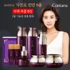 코리아나 한방 가연미 진연 6종세트