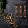 세월담은 돌배 도라지 스틱 10ml x 30포