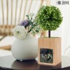 코비 BL50 대나무 LED 알람시계