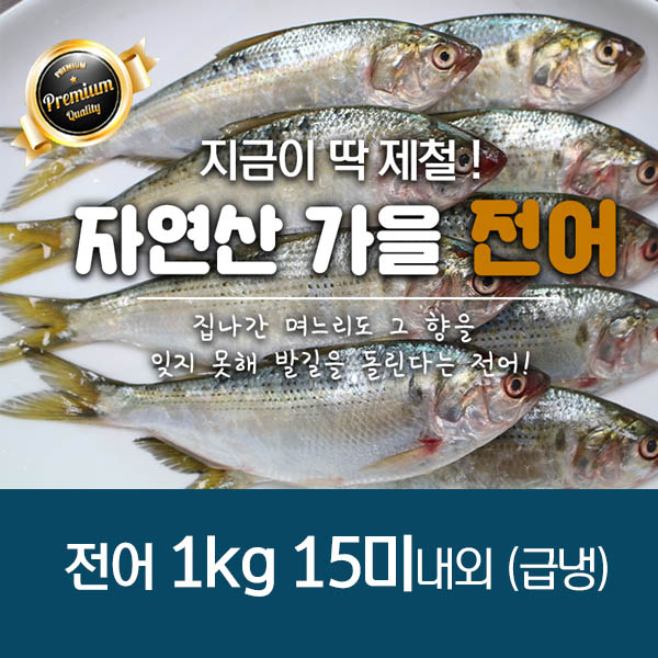 서천어부의 가을전어 1박스 1k 15미내외