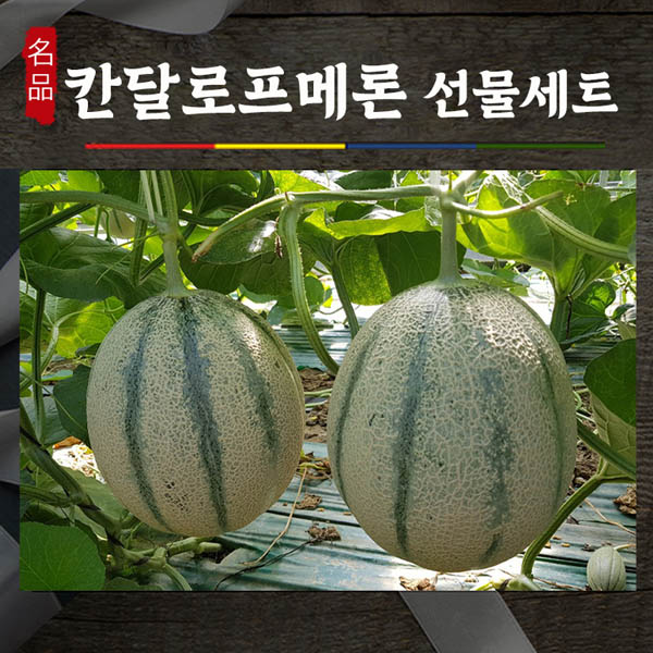 건강메론 칸탈로프 메론 1박스 2-3과  5k