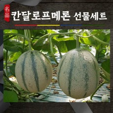 건강메론 칸탈로프 메론 1박스 2-3과  5k