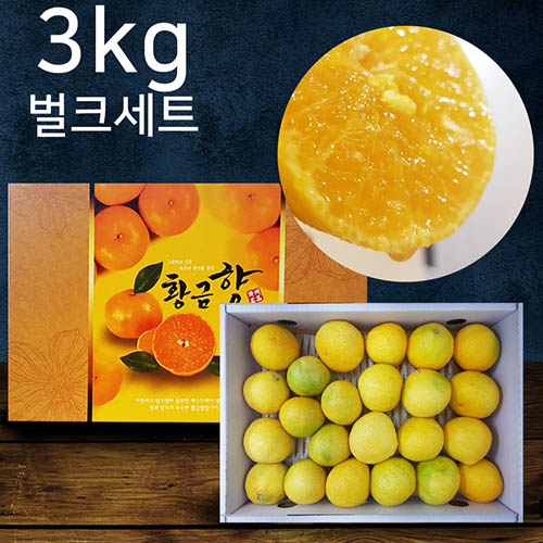 제주황금향 꼬마 3kg (22~25 수내) - 벌크