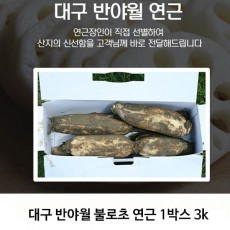 대구 반야월 불로초 연근 1박스 3k