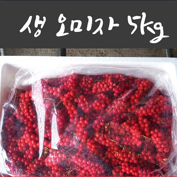 월악산할배 월악산오미자생과5k