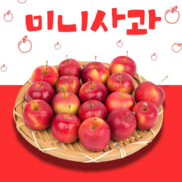 한입사과 미니사과 한박스 3kg (500g*6팩)
