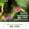 영암 무화과 1박스 2팩 1.5k 내외