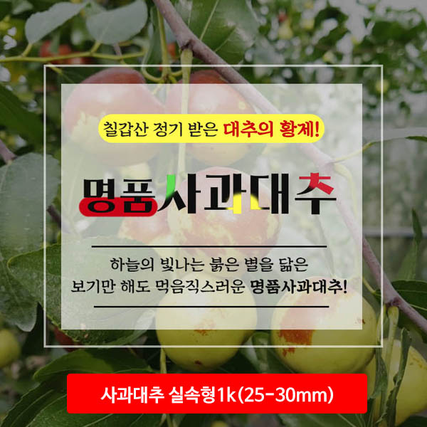 청양 사과대추 실속형1k(25-30mm)