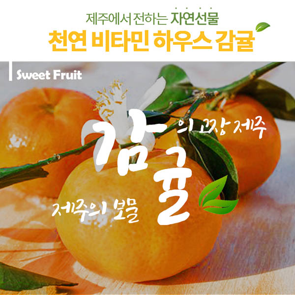 하우스감귤 1박스 3k (41-50과)