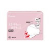 코튼데이 베이직 방역마스크 KF94x60ea