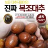 대추지킴이 생대추 보통 24mm