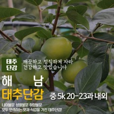 해남 태추단감 중 5k 20-23과 내외