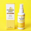 프로비 마누카15+ 프로폴리스 스프레이 70ml