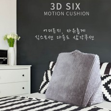 이신우 3D 식스 모션 쿠션 35cm x 4.5cm x 26cm