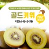 해풍맞은 골드키위 대 5k( 46-54과)