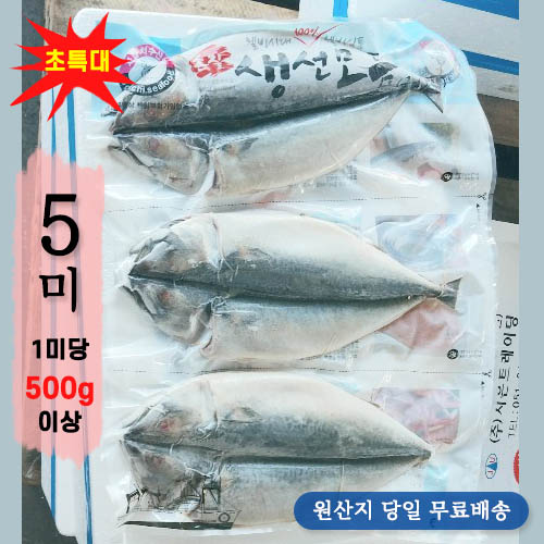제주산 자반고등어 초특대 (1미당 500g 이상) 5미