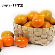 맛있는 단감 3kg(350g내외 9~11개입)