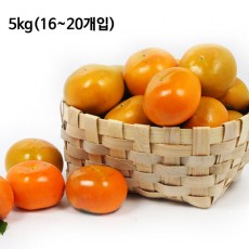 맛있는 단감 5kg(350g내외 16~20개입)