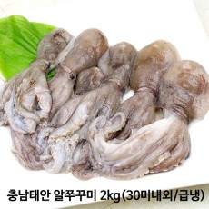 충남태안 알쭈꾸미 2kg(30미내외/급냉)