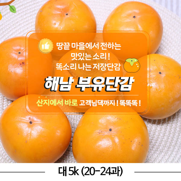 해남 부유 단감 대 5k (20-24과)