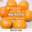 해남 부유 단감 대 5k (20-24과)